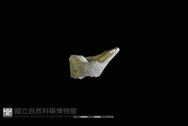 陶杯藏品圖，第1張