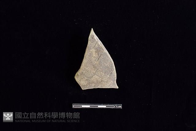 陶片藏品圖，第1張