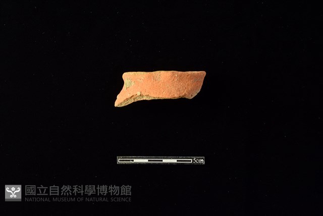 陶片藏品圖，第1張