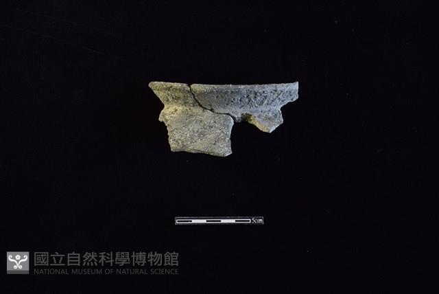 陶罐藏品圖，第1張