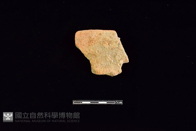 陶片藏品圖，第1張