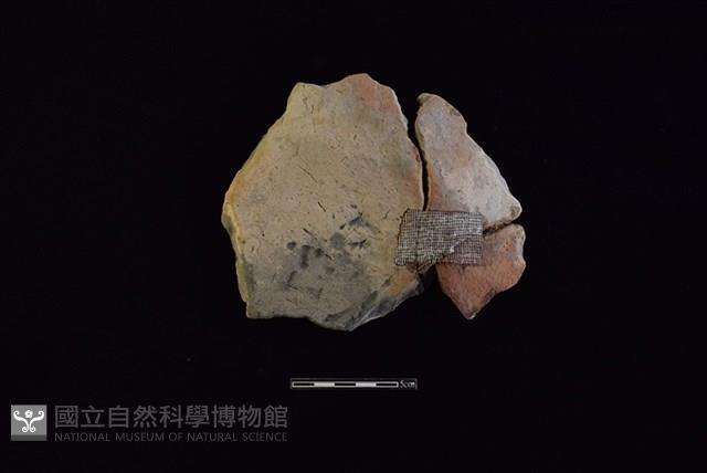 陶片藏品圖，第1張