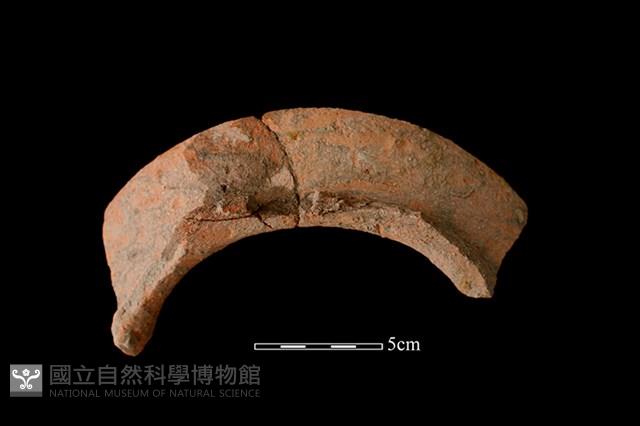 陶罐藏品圖，第1張