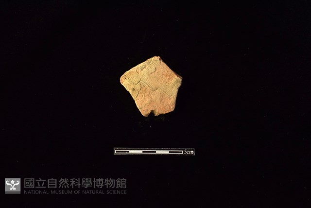 陶片藏品圖，第1張