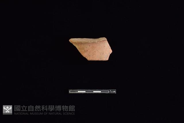 陶片藏品圖，第1張