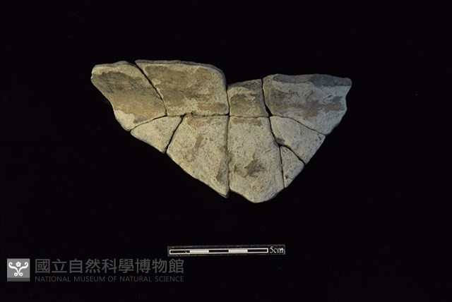 陶罐藏品圖，第1張
