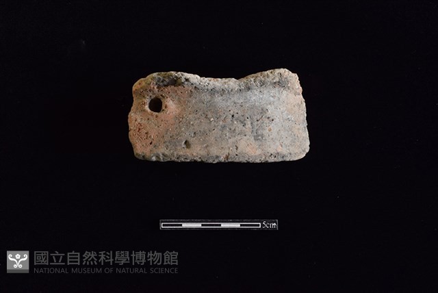 陶片藏品圖，第1張