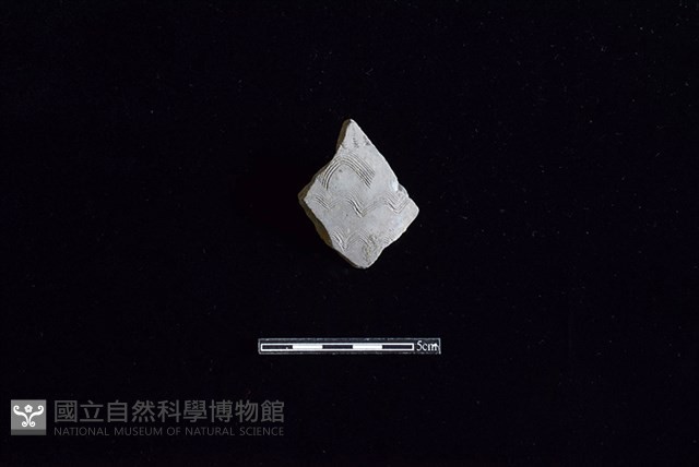 陶片藏品圖，第1張