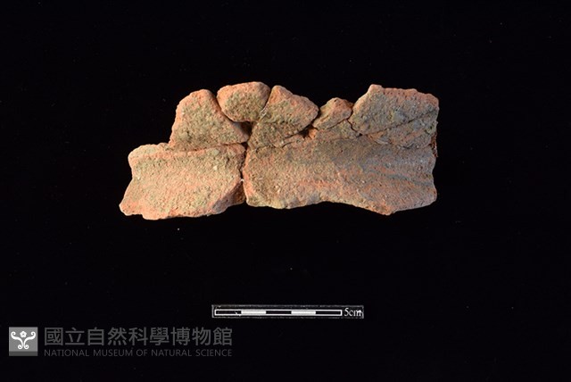 陶罐藏品圖，第1張