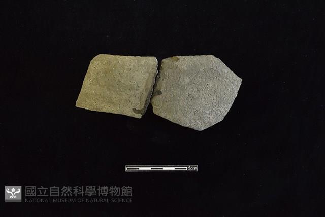 陶瓢藏品圖，第1張