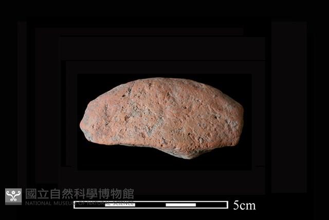 蜂房形器藏品圖，第1張