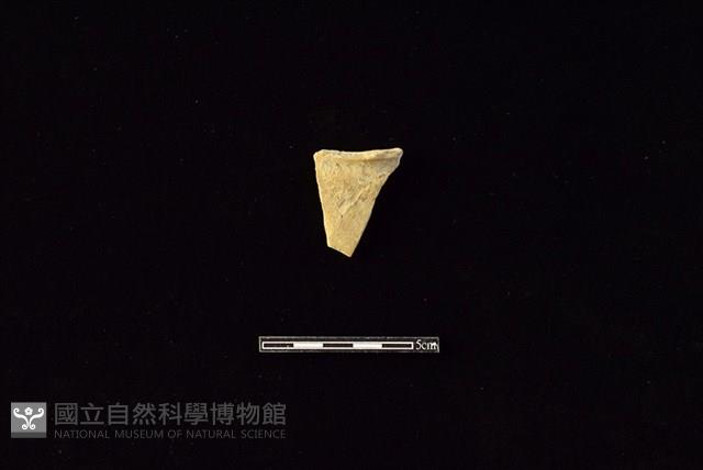 陶罐藏品圖，第1張