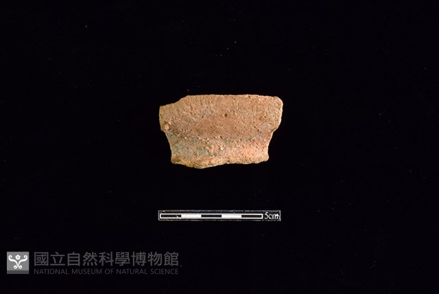 陶罐藏品圖，第1張
