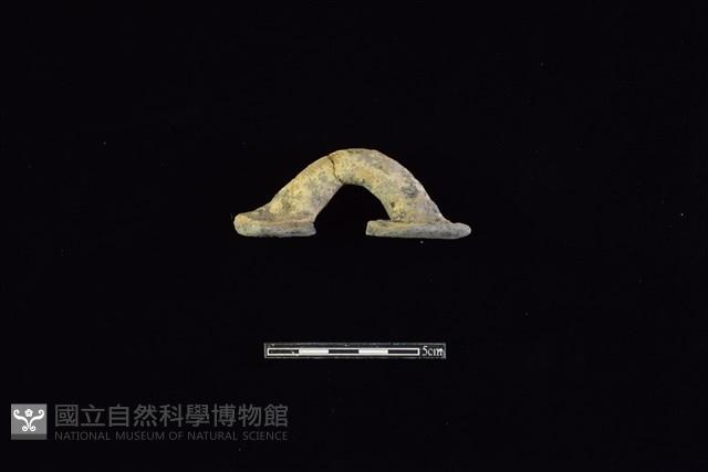 陶蓋藏品圖，第1張