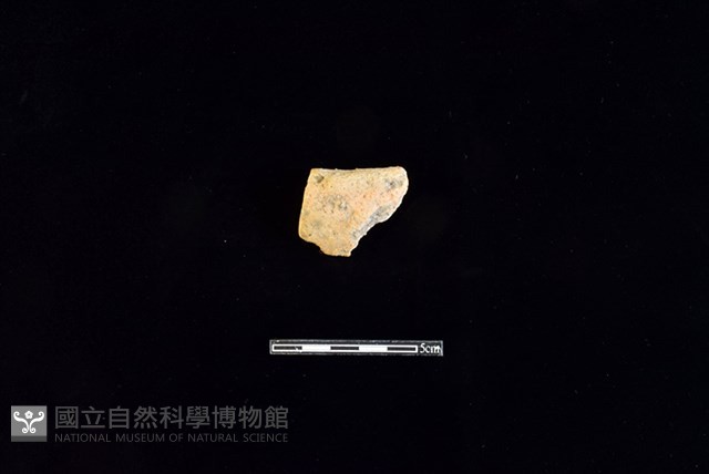 陶缽藏品圖，第1張