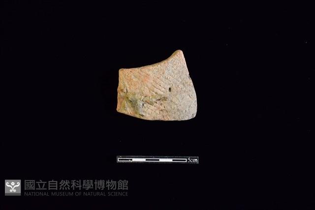 Accession Number:HLL-L-PT0009 Collection Image, Figure 1, Total 2 Figures