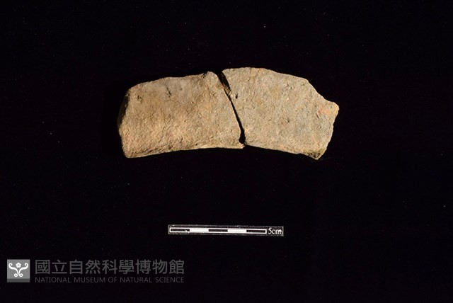 連杯形器藏品圖，第1張