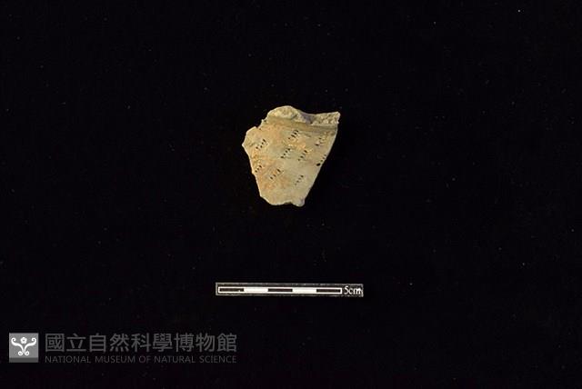 陶罐藏品圖，第1張