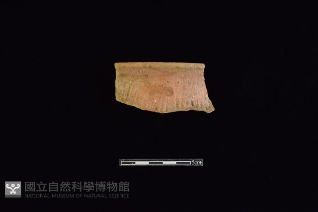 陶罐藏品圖，第1張