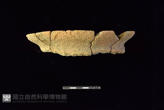 陶罐藏品圖，第1張