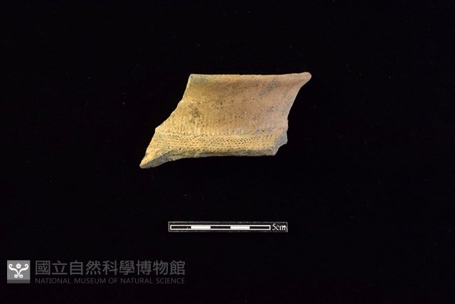 陶罐藏品圖，第1張
