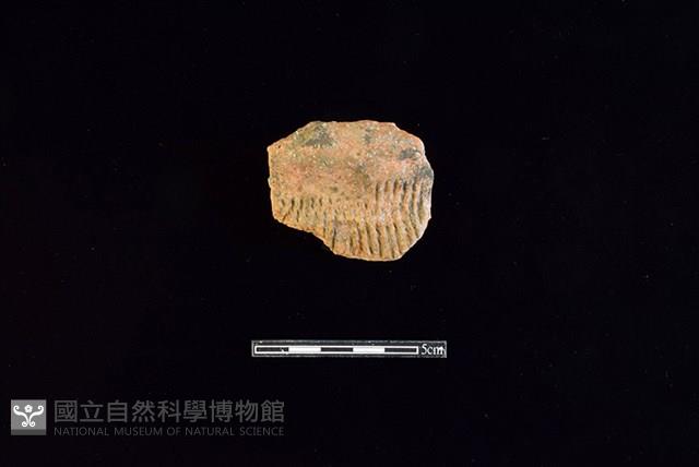 陶罐藏品圖，第1張