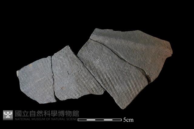 陶片藏品圖，第1張