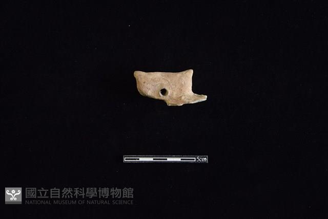 陶蓋鈕藏品圖，第1張