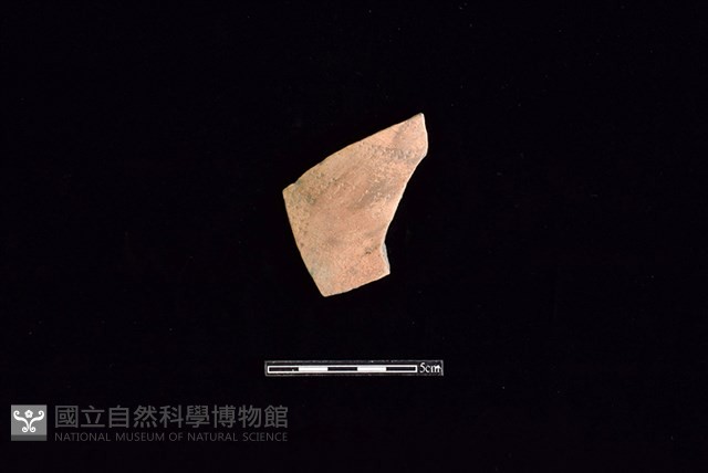 陶片藏品圖，第1張