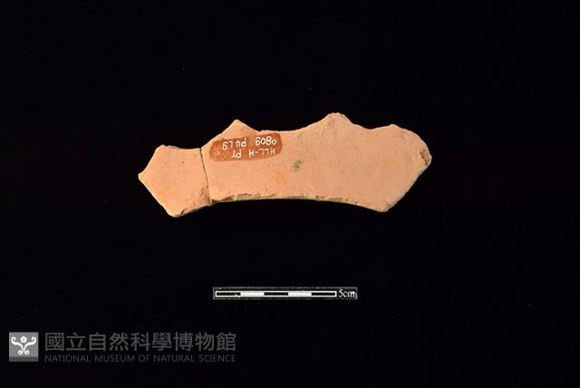 連杯形器藏品圖，第1張