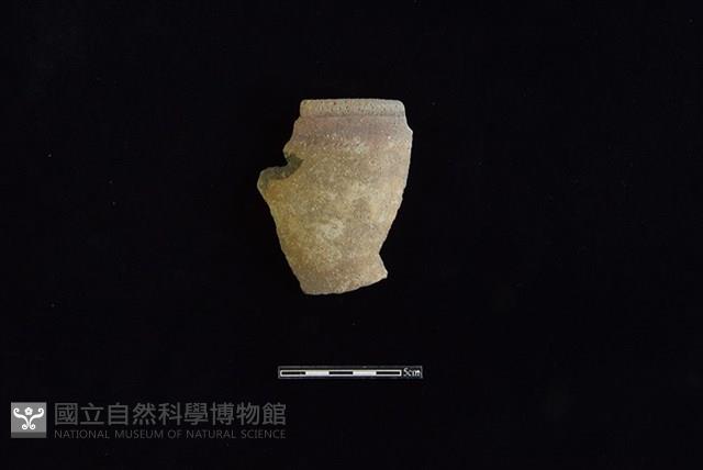 陶罐藏品圖，第1張