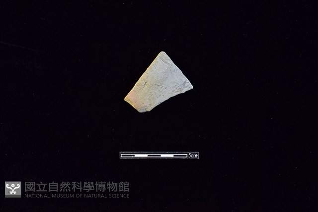 陶片藏品圖，第1張
