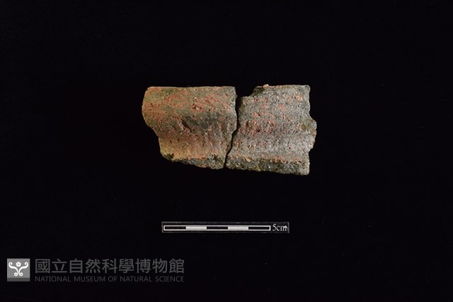 陶罐藏品圖，第1張