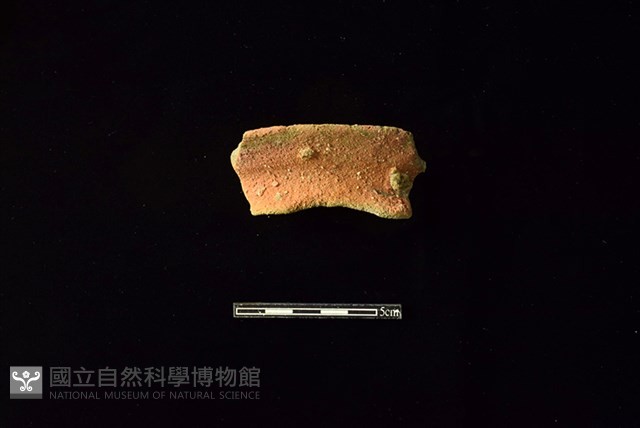 陶罐藏品圖，第1張
