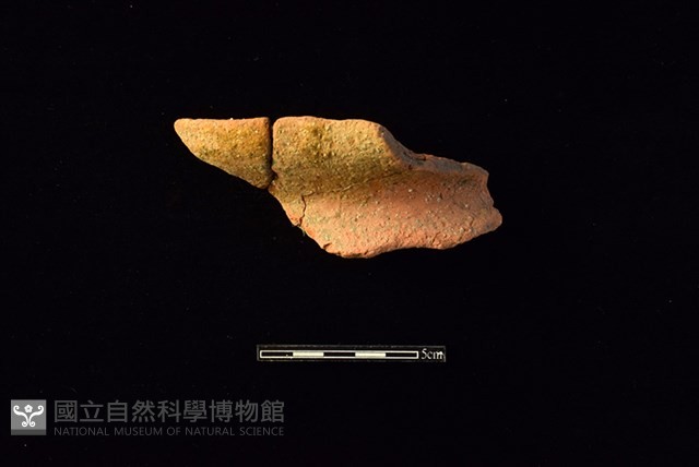 陶罐藏品圖，第1張