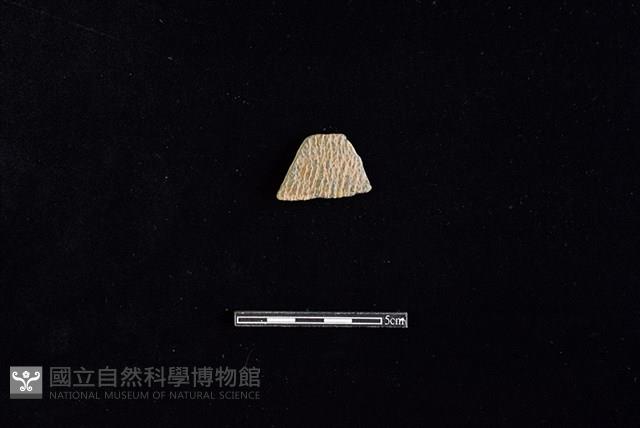 陶片藏品圖，第1張