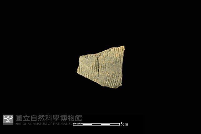 陶片藏品圖，第1張