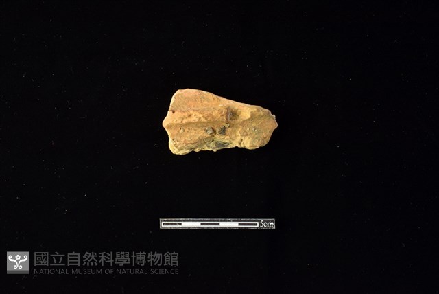 陶片藏品圖，第1張
