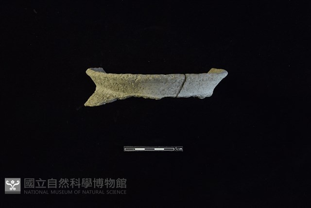 陶罐藏品圖，第1張