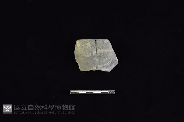 陶片藏品圖，第1張