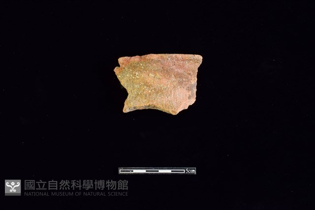 陶罐藏品圖，第1張