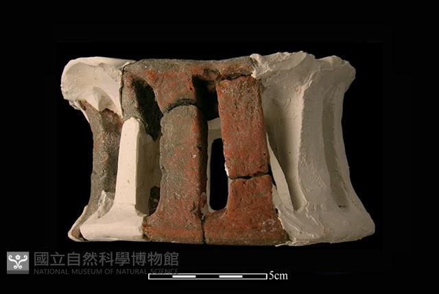 陶片藏品圖，第1張