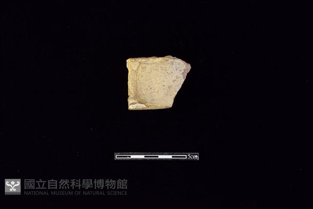 陶片藏品圖，第1張