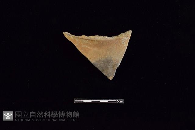 陶罐藏品圖，第1張