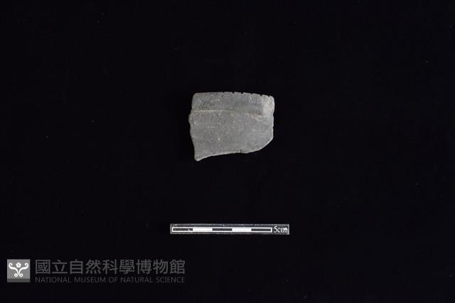 陶罐藏品圖，第1張