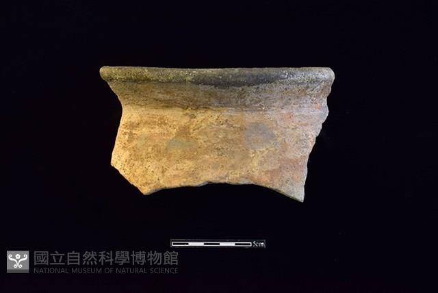 陶罐藏品圖，第1張