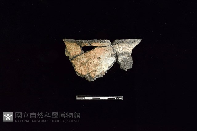陶罐藏品圖，第1張