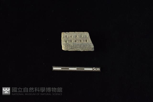 陶片藏品圖，第1張