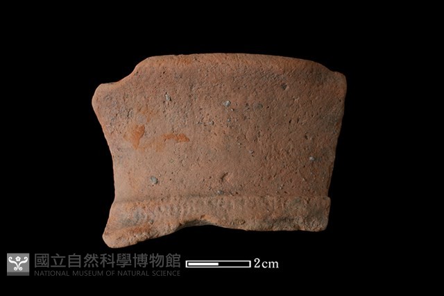 陶罐藏品圖，第1張