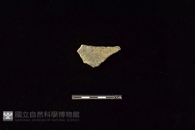 陶片藏品圖，第1張